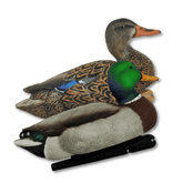 Set 6 atrape rata mare Avian-X